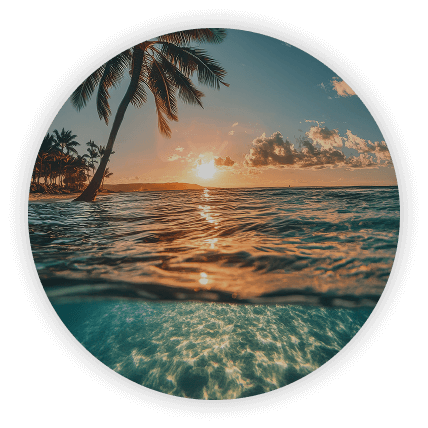 Beaches